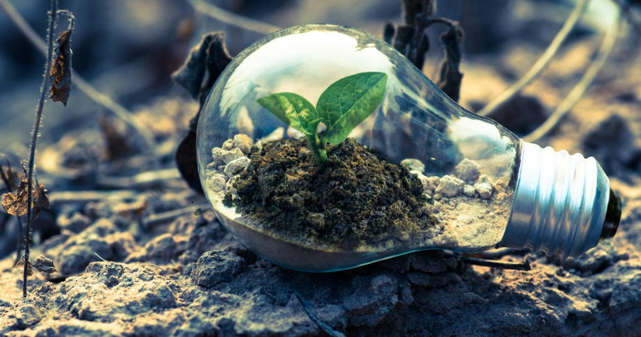 Renewable Energy Transformation for Beginners